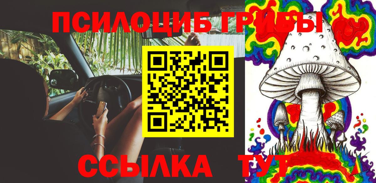 Псилоцибиновые грибы Psilocybine cubensis Благовещенск