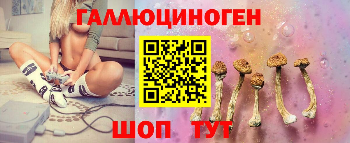 Галлюциногенные грибы GOLDEN TEACHER  Вход с VPN  Благовещенск 